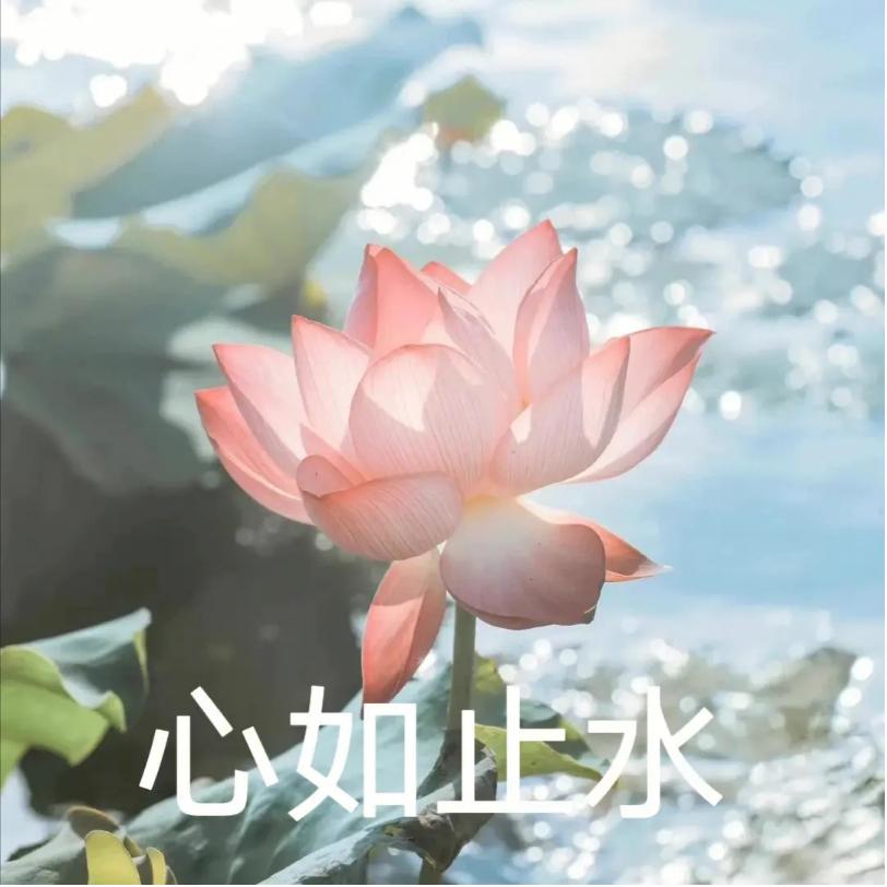 小廖小廖出人意廖