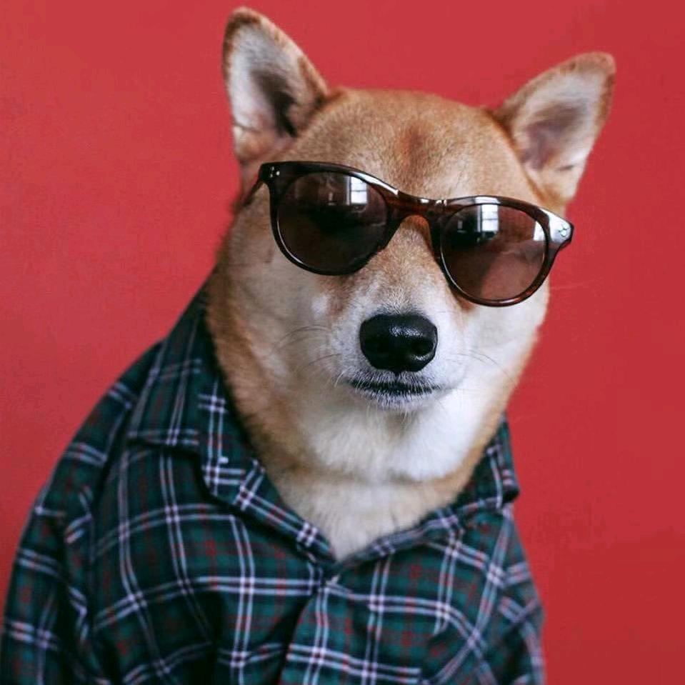 邦铌眼镜金山店小刘同学