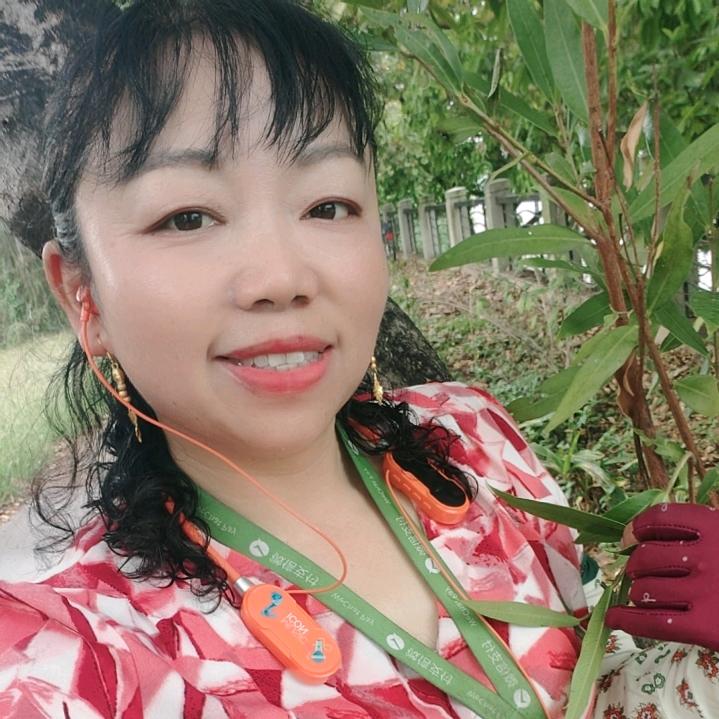 人生就像一场梦