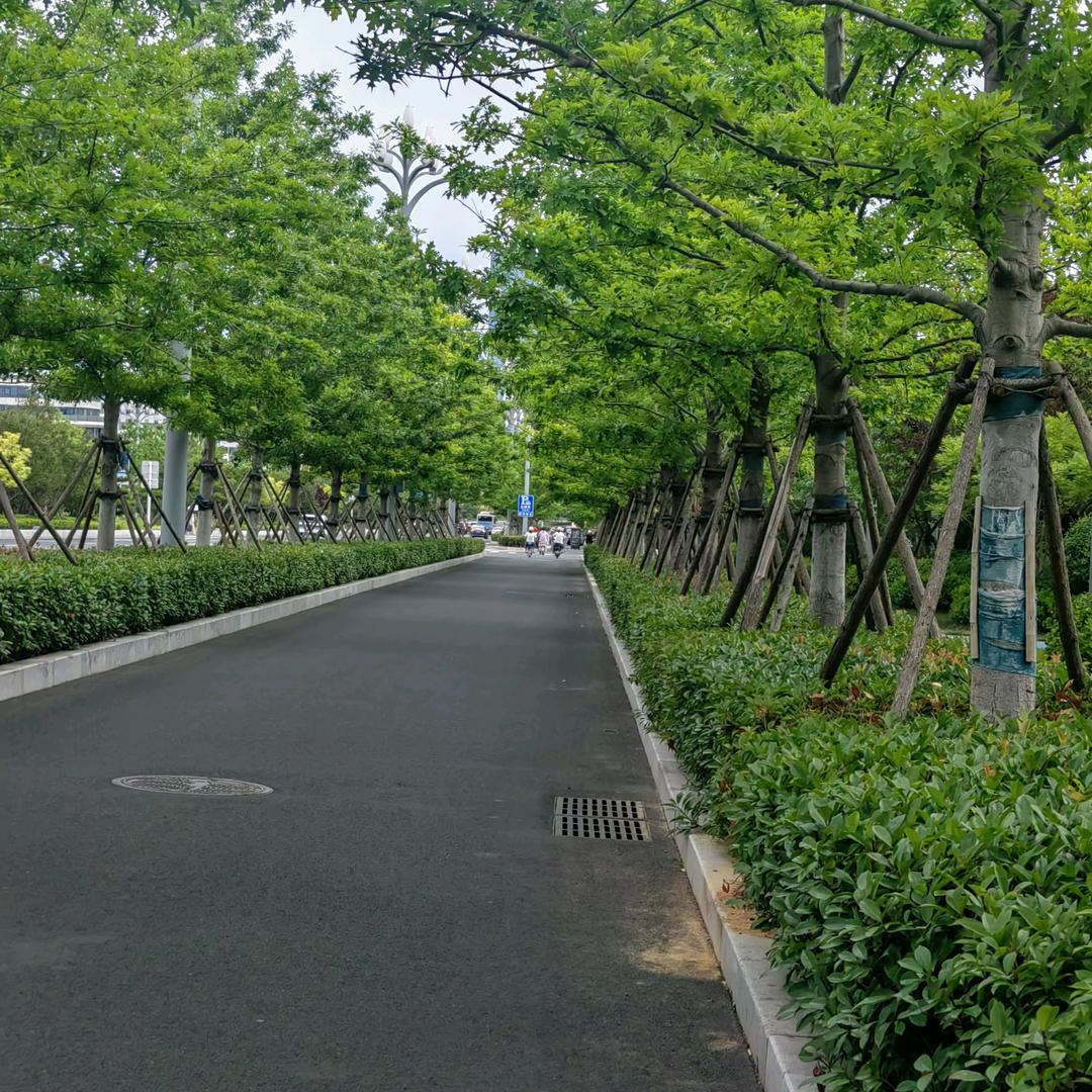养鸡人