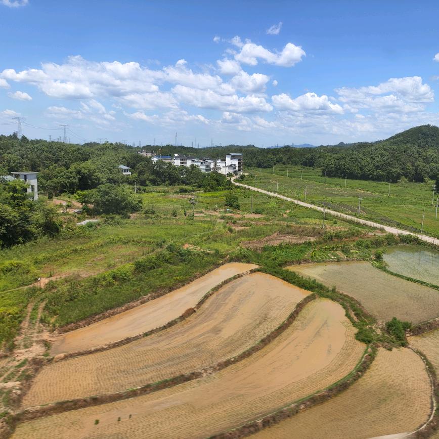 跑到峨眉山