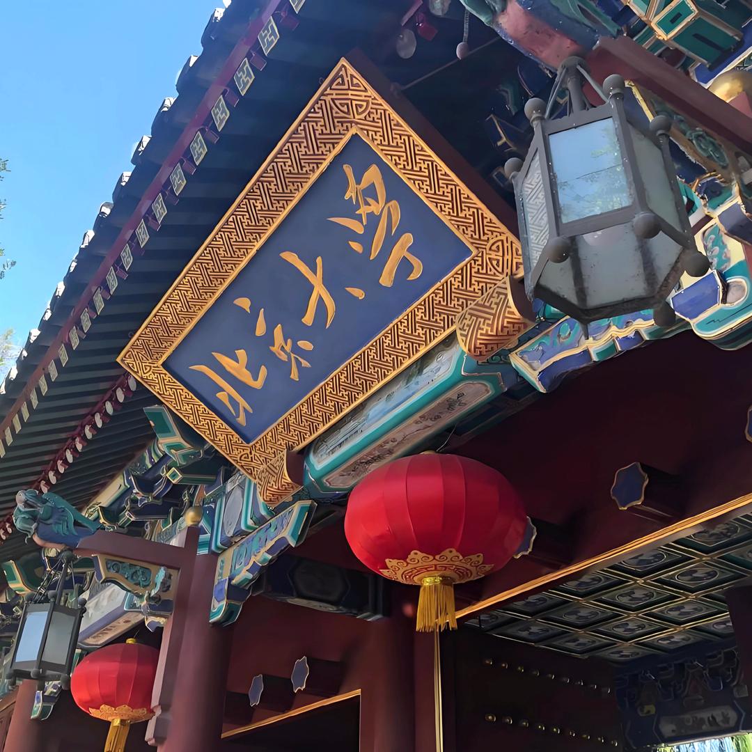 北大爸爸曾哥讲数学