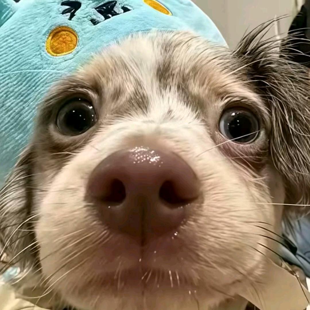 前女友