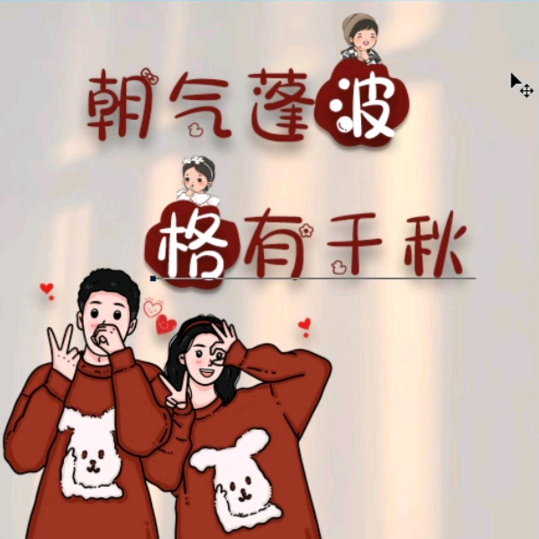 鸽子记录简单生活每一天