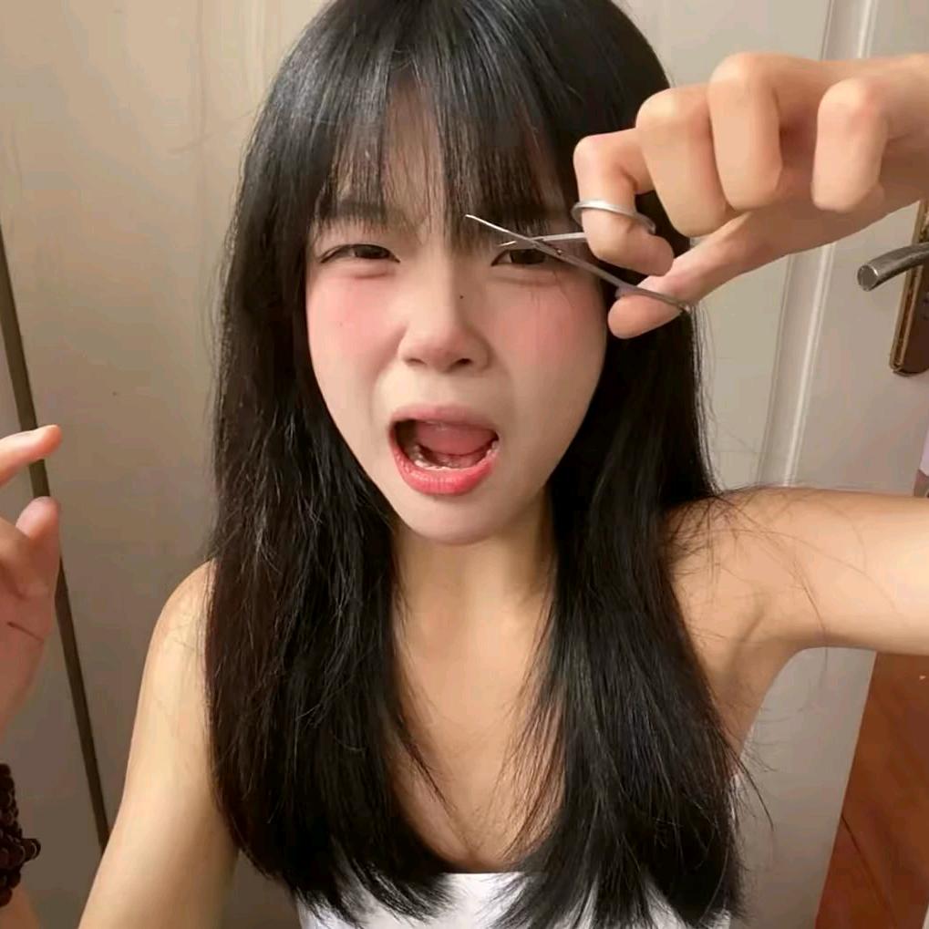 猫猫o