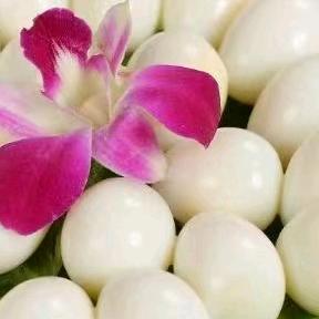 芯锦绣