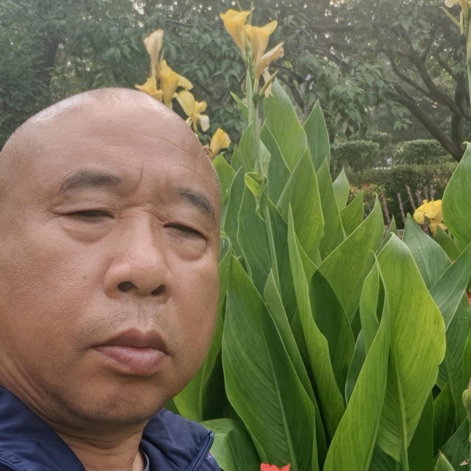 老刘爱农资（商品在橱窗）