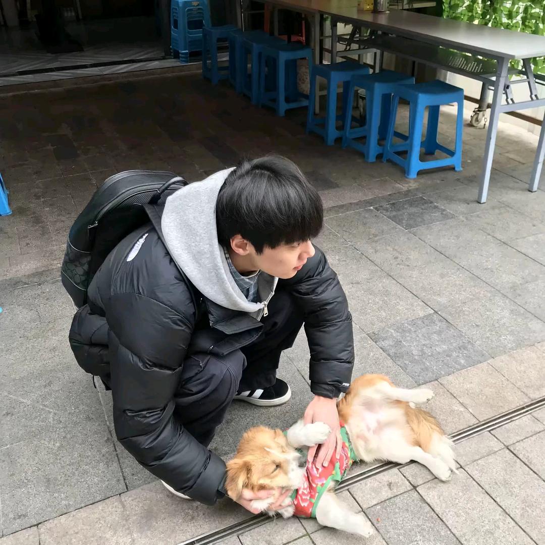 奥   迪