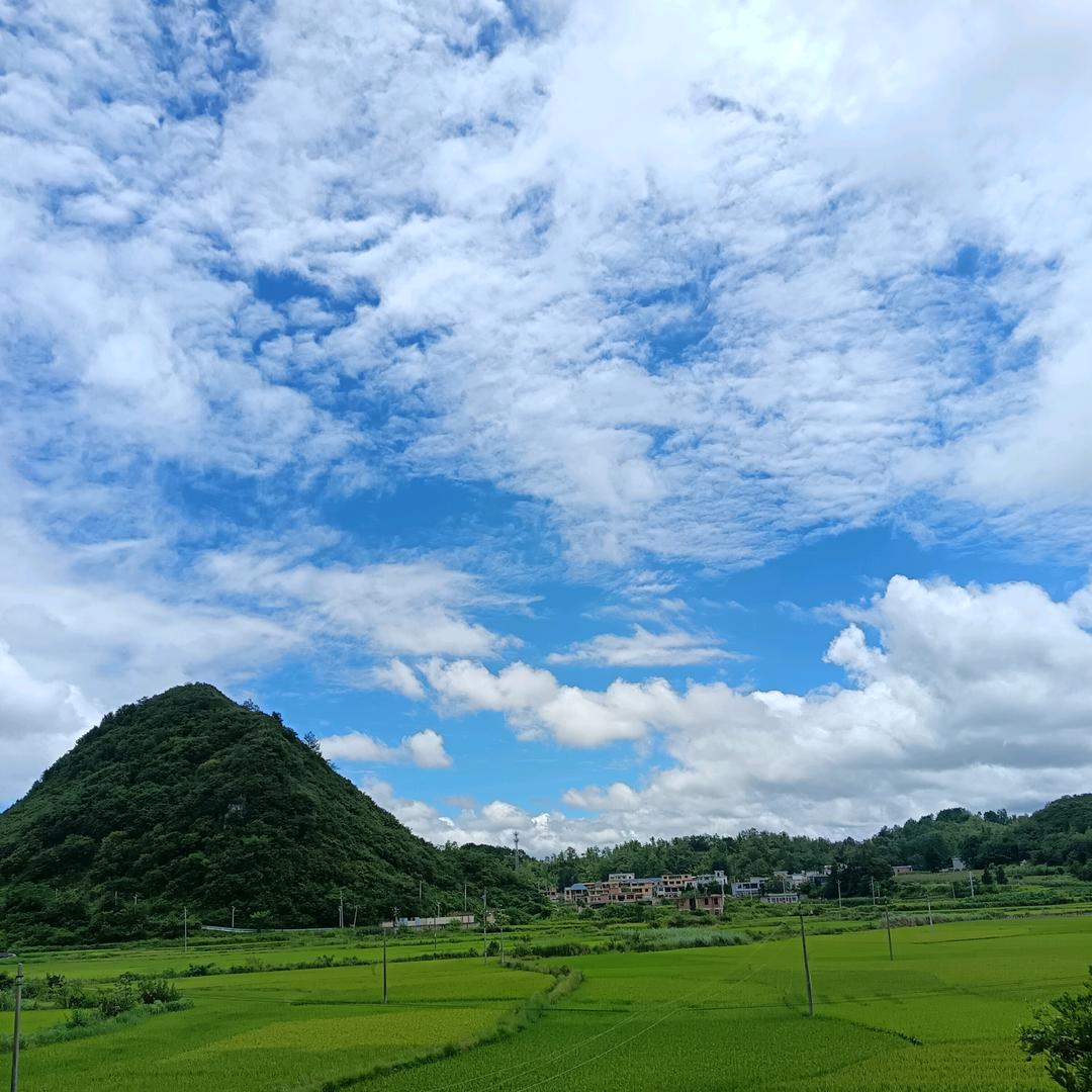 @@李小龙