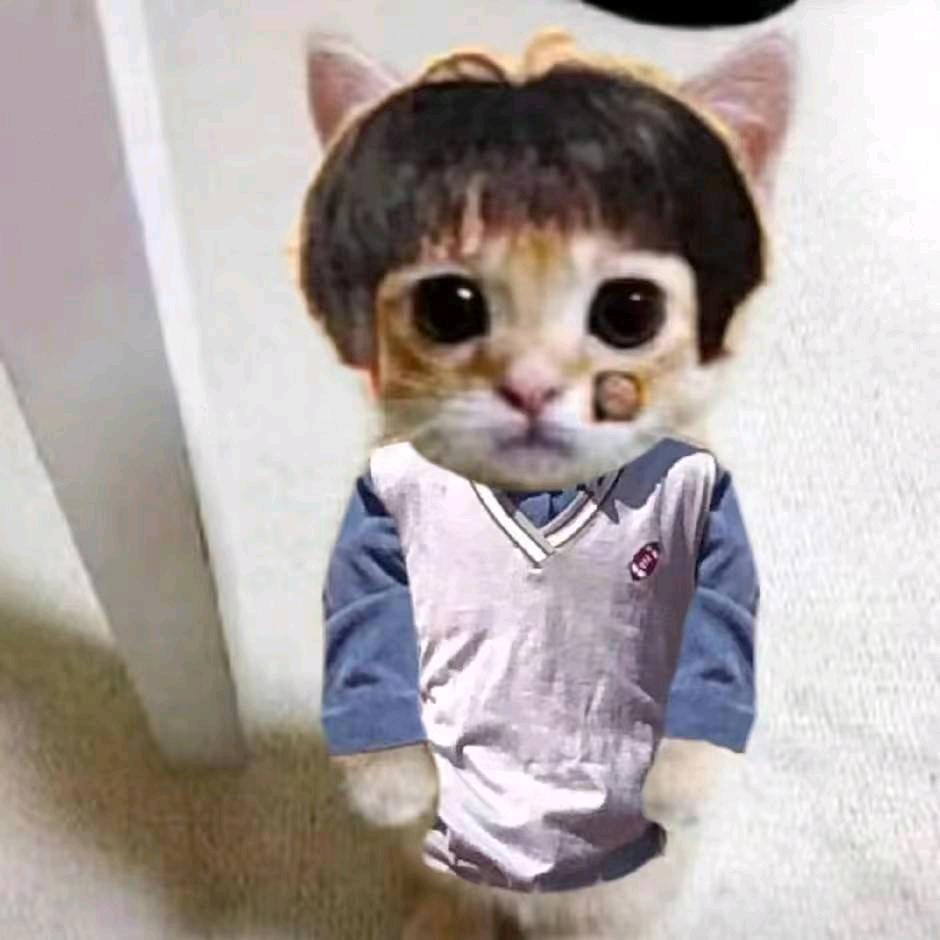 懿述嘉