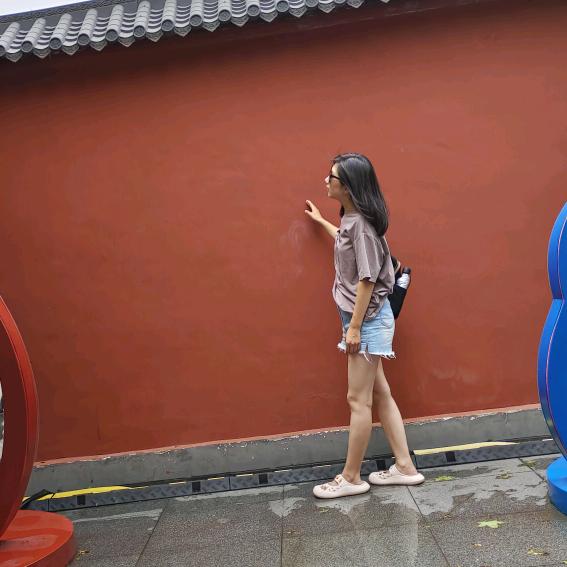 柳树的柳