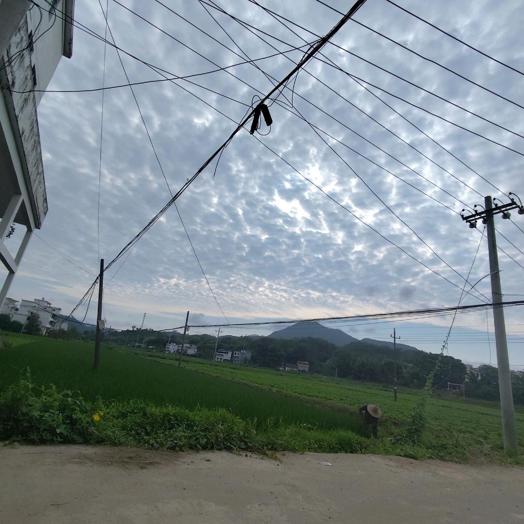 嗨