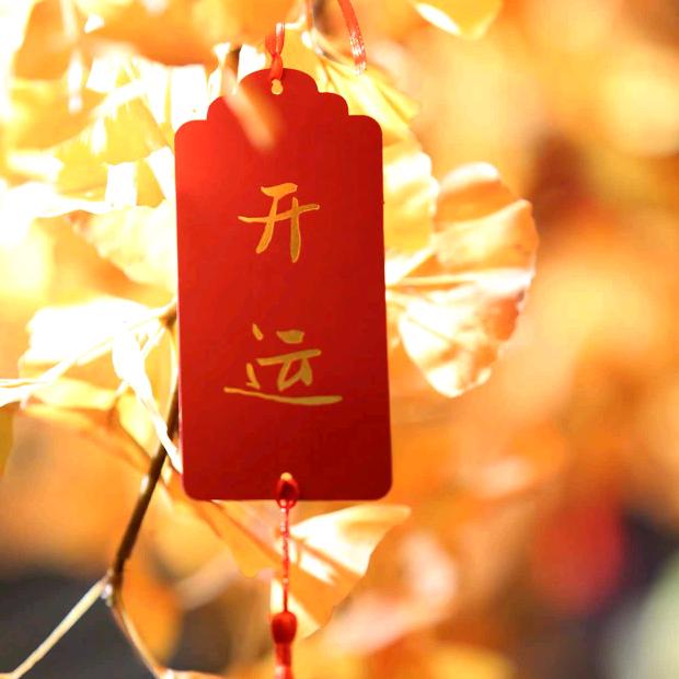 英姐☀️