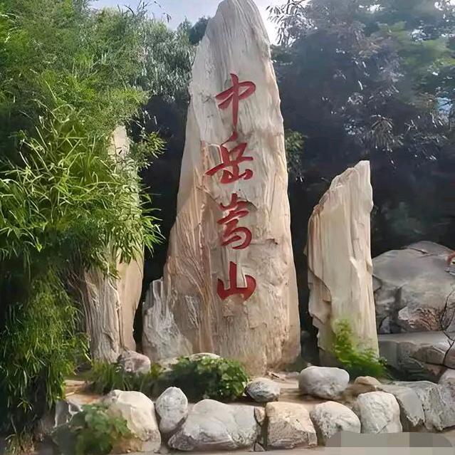 涛涛阳哥音乐
