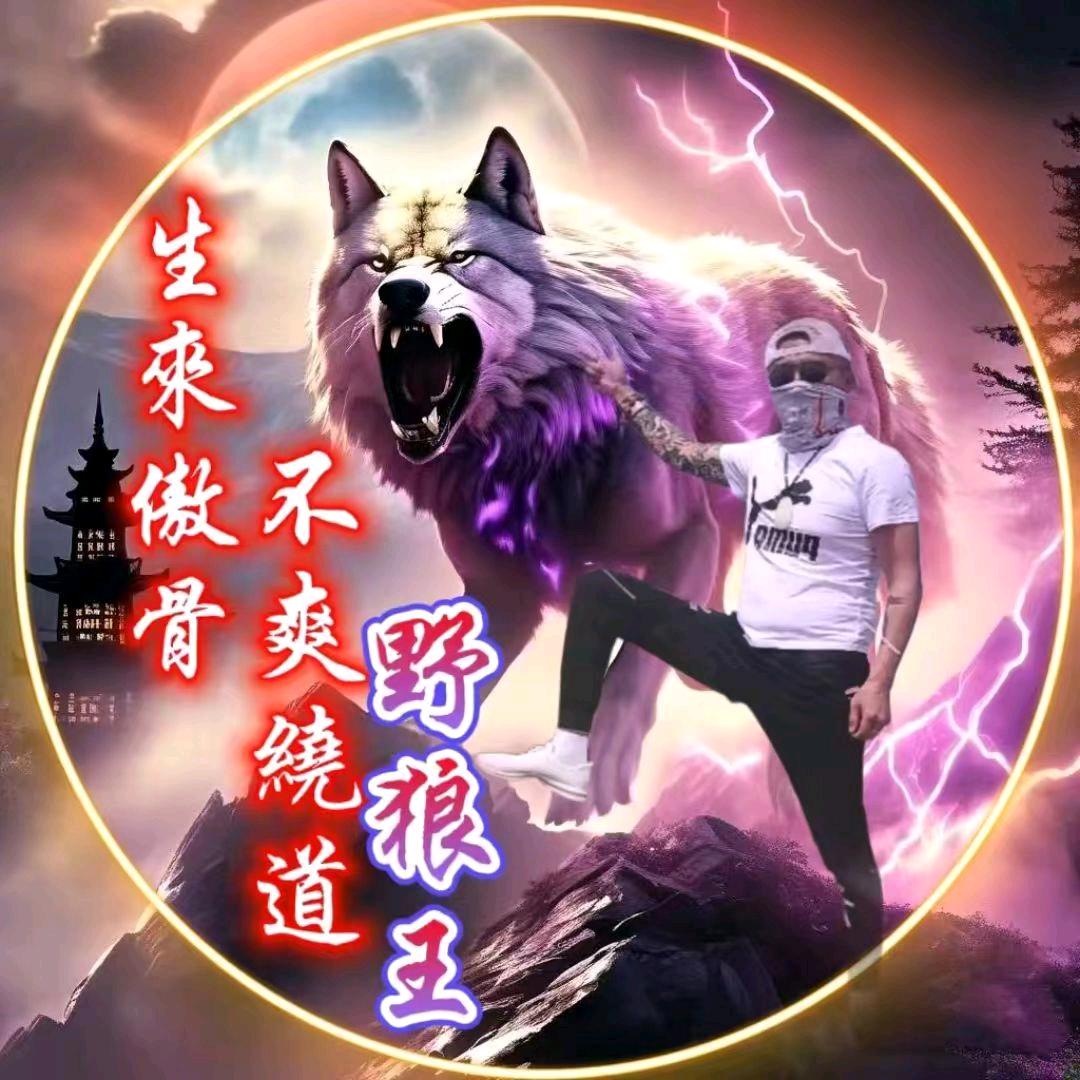 🐺🔥野狼王🔥🐺