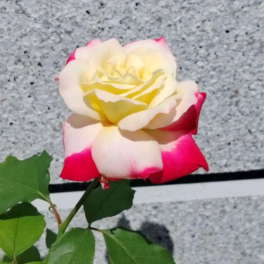 忙忙碌碌又一天