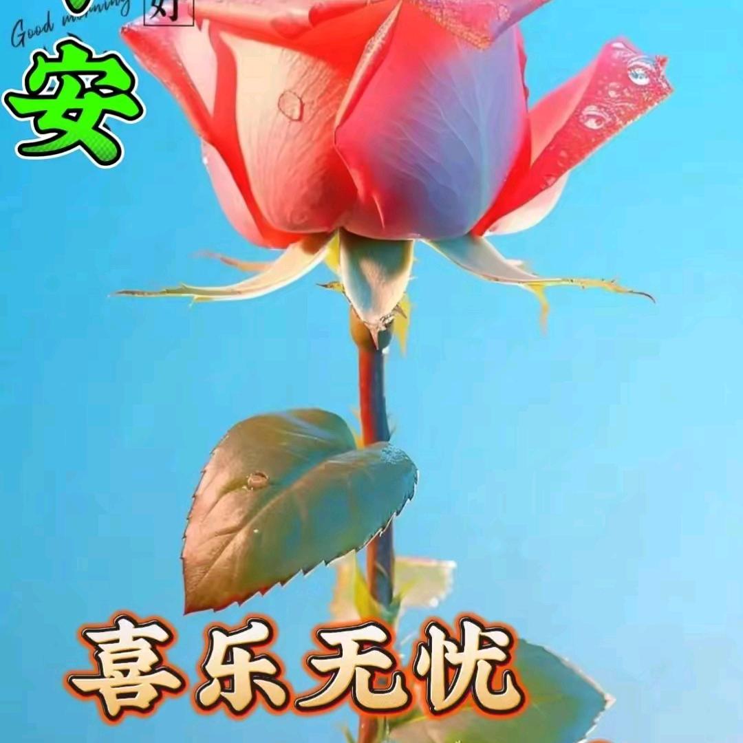 用户名
