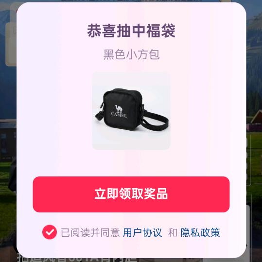晓晓