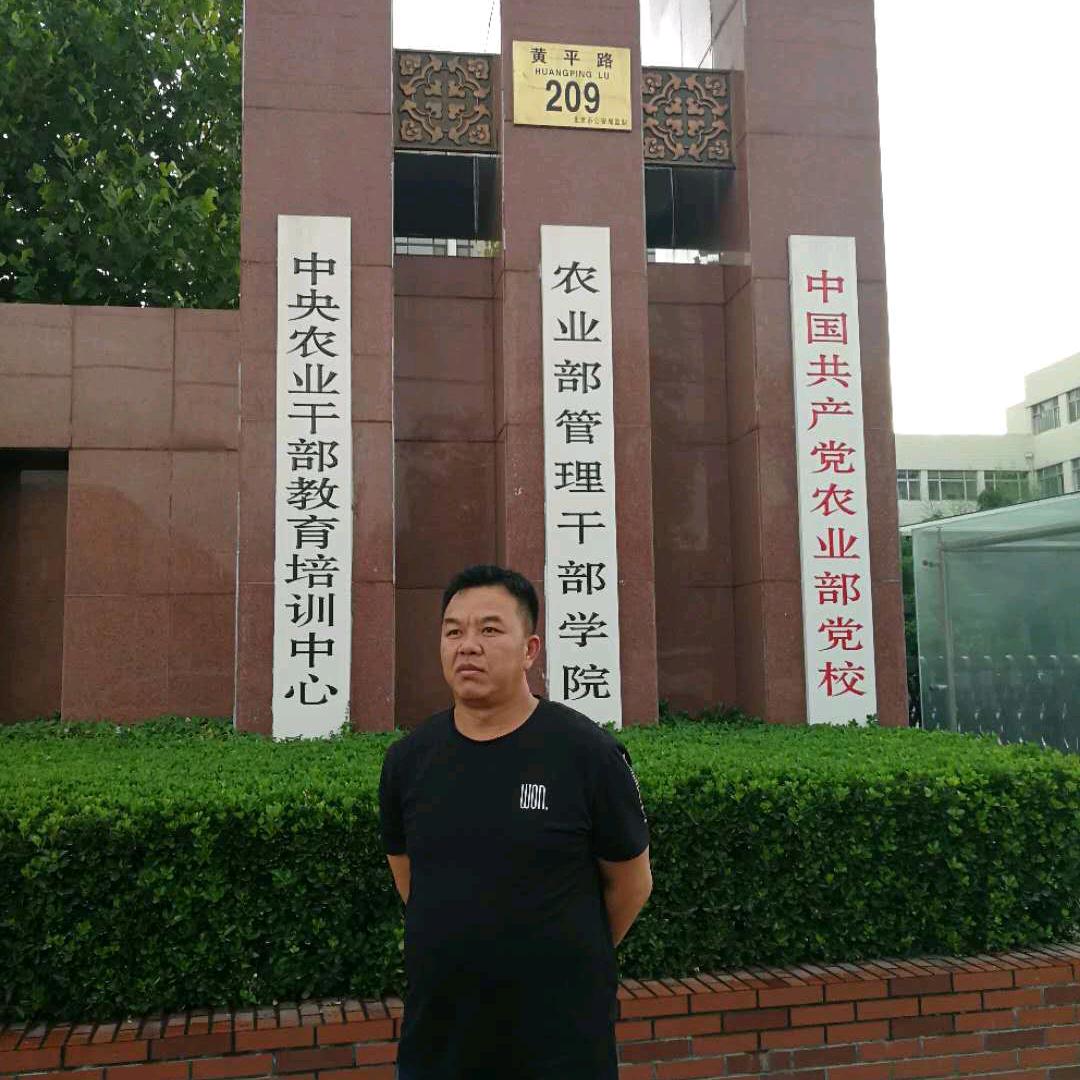 苦参种植户