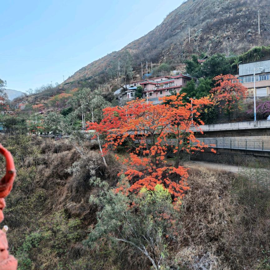 👍👍👍👍🌹🌹🌹🌹