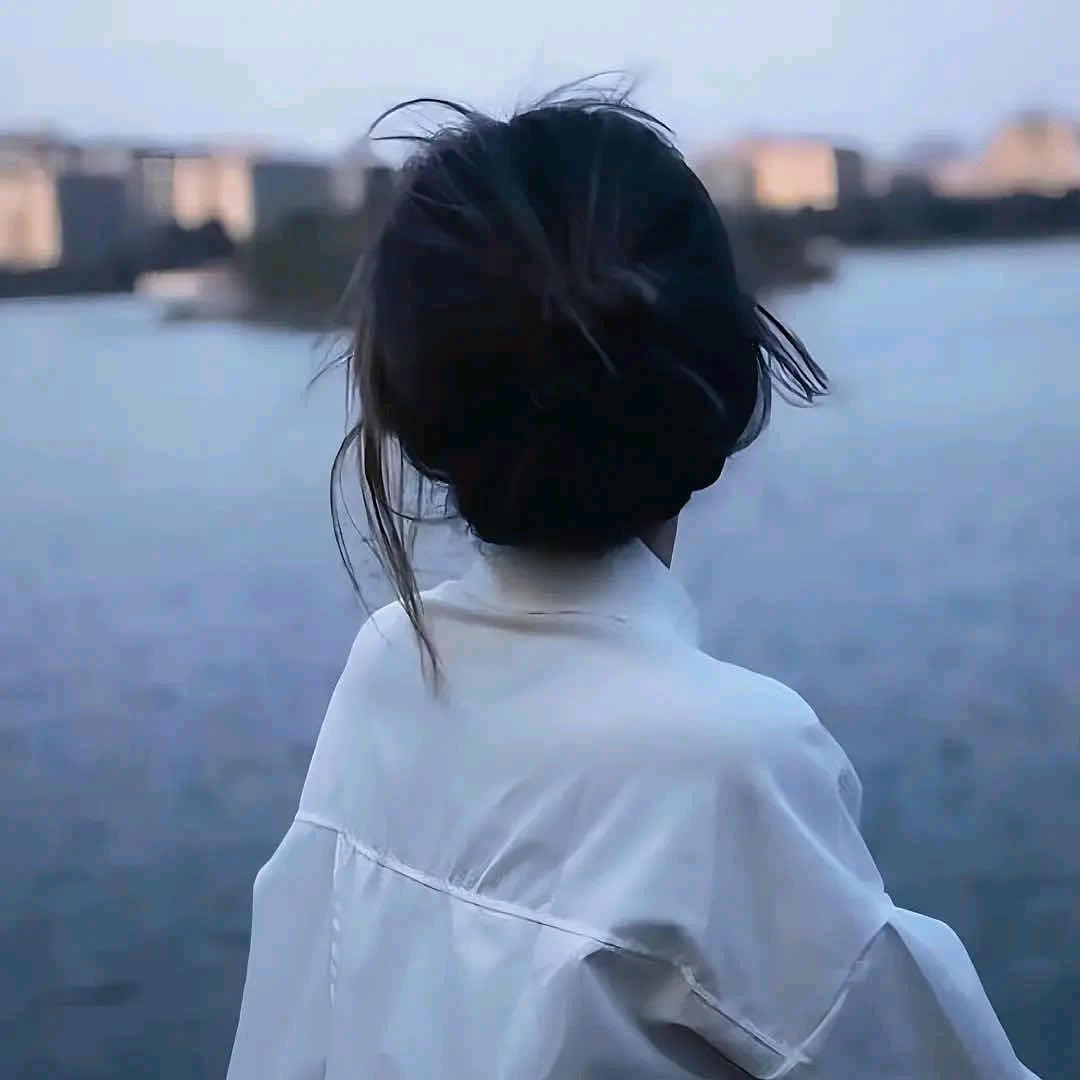 晨纸