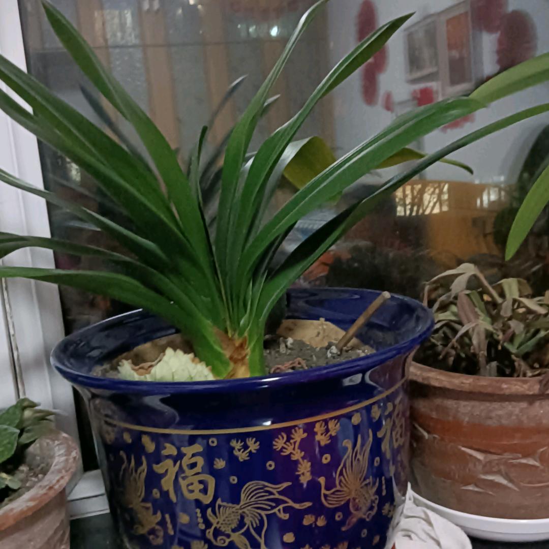 天天快乐