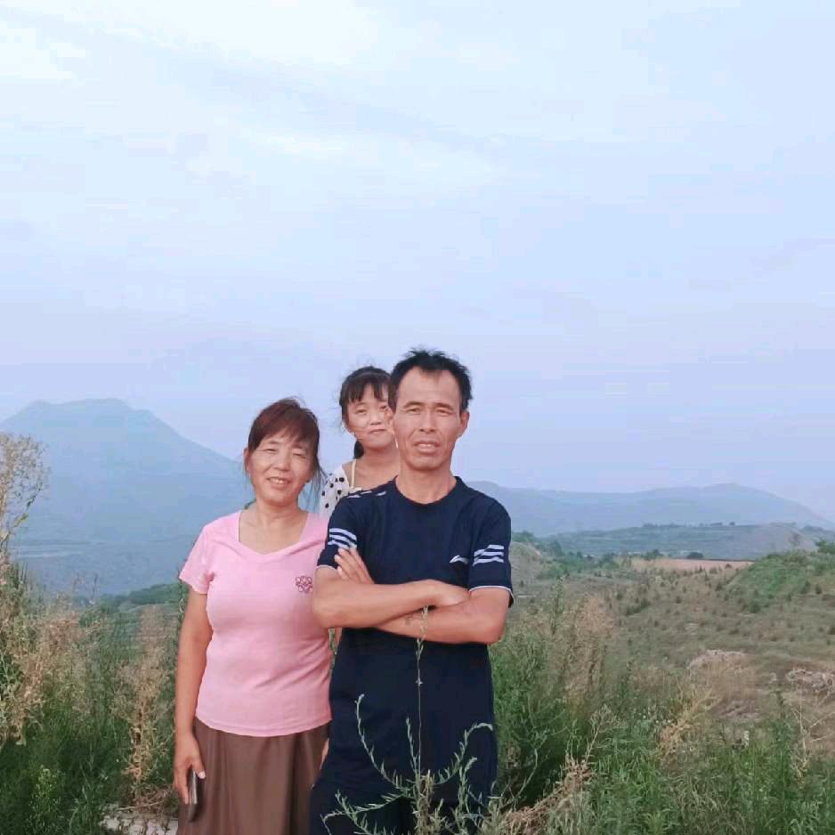 礼泉专业送砖哥