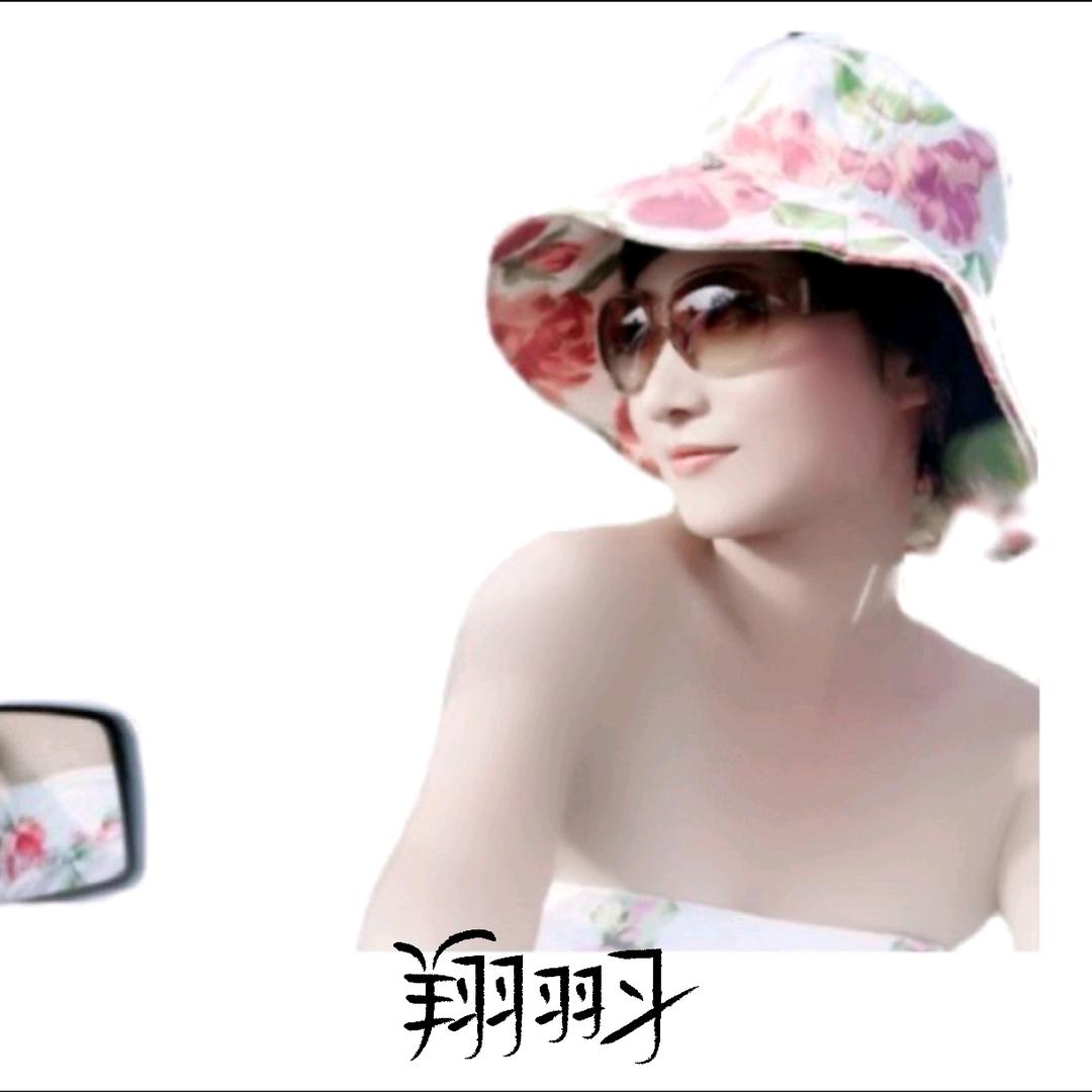 翔羽习达人账号