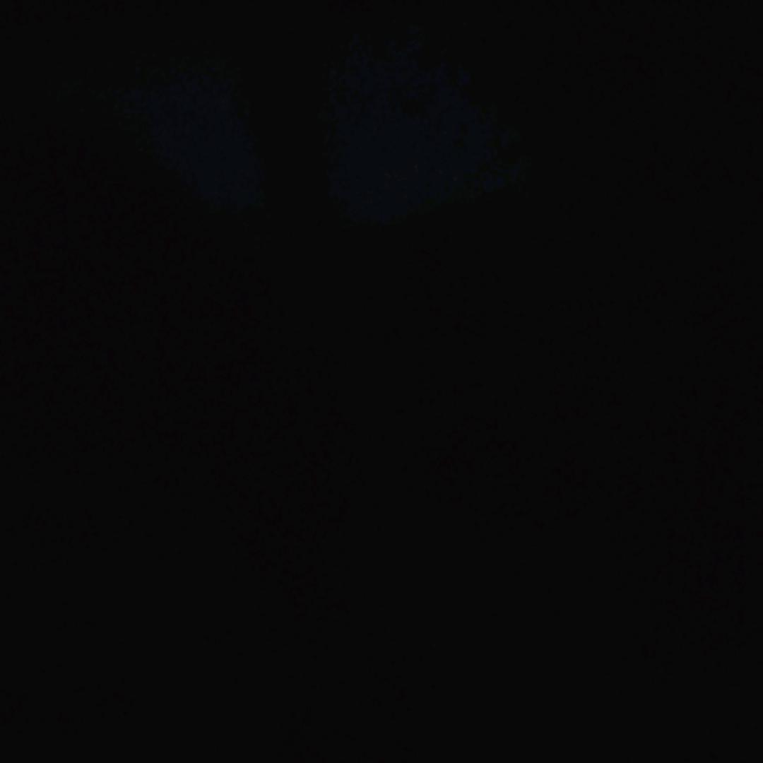 kkksjspe