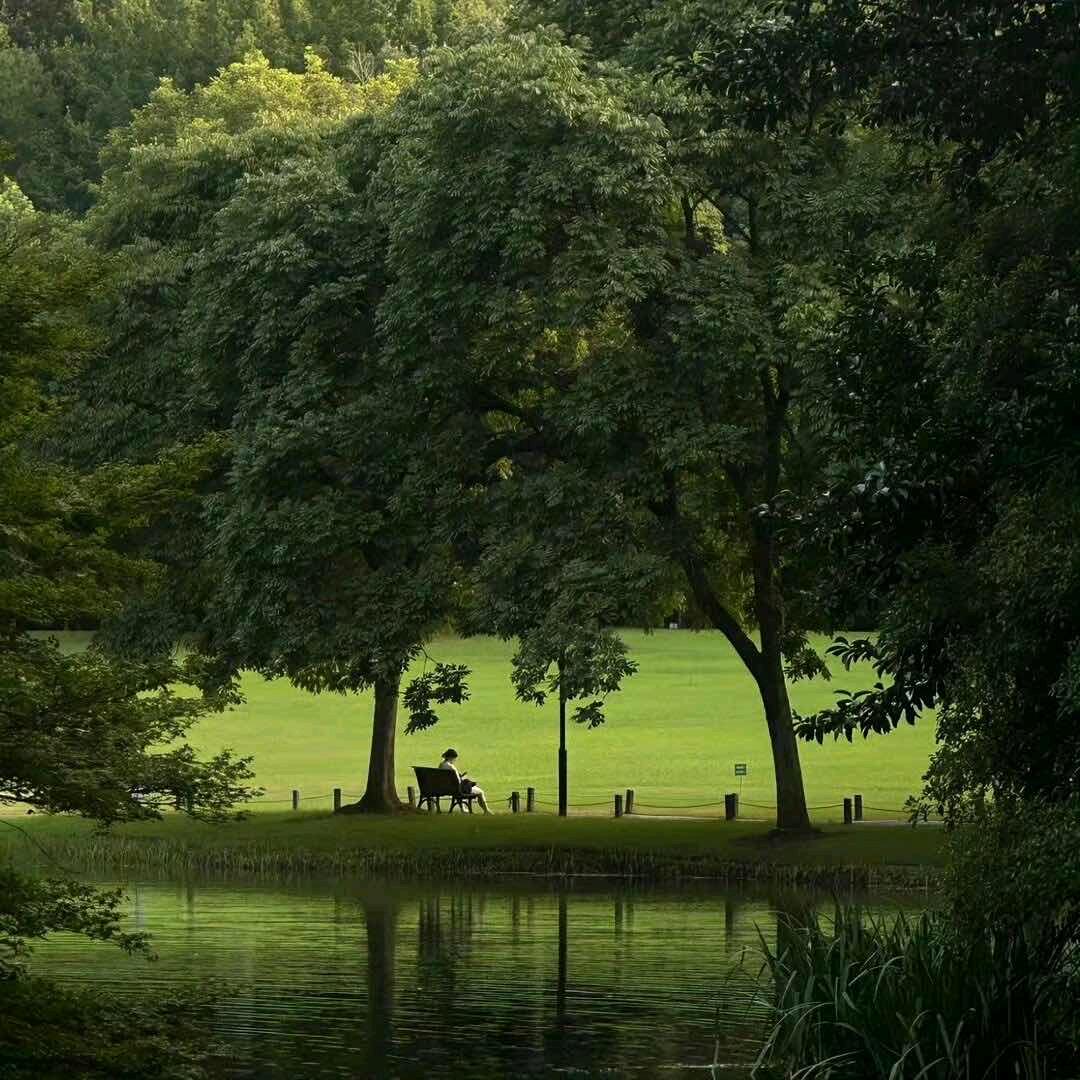 小李