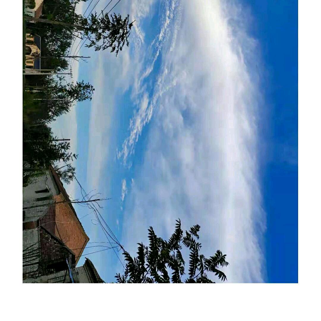 苏N0527