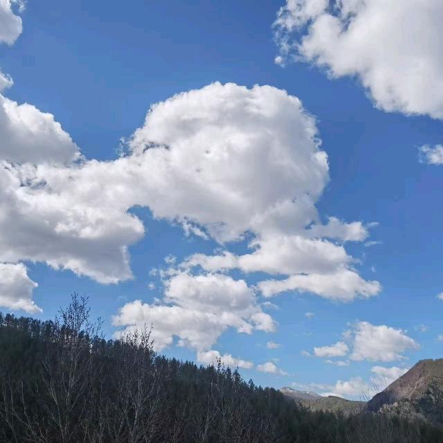 倦雲齋主人