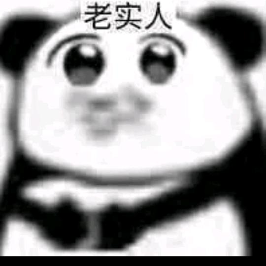 ── 展开 88 条回复 ⌵