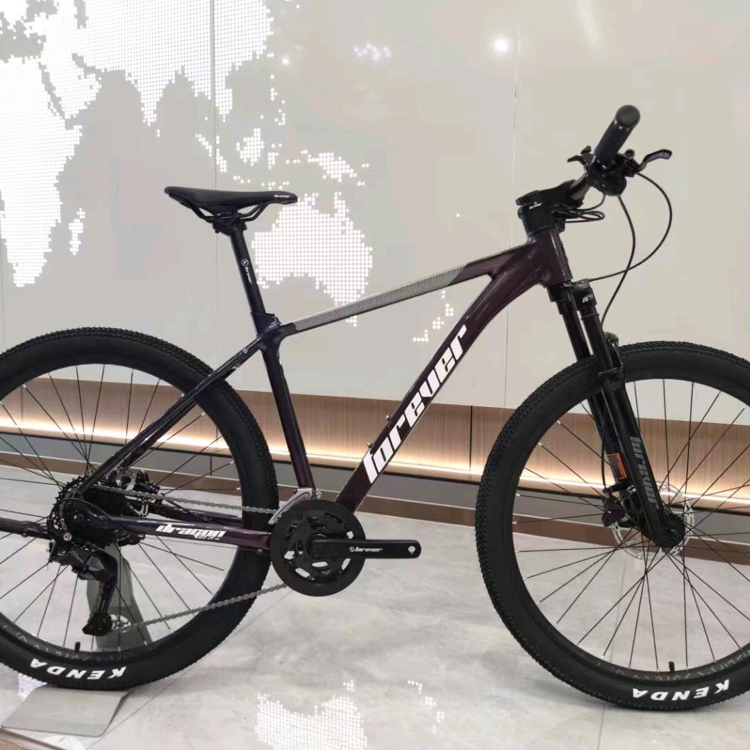 六安上海永久自行车（七里站店）