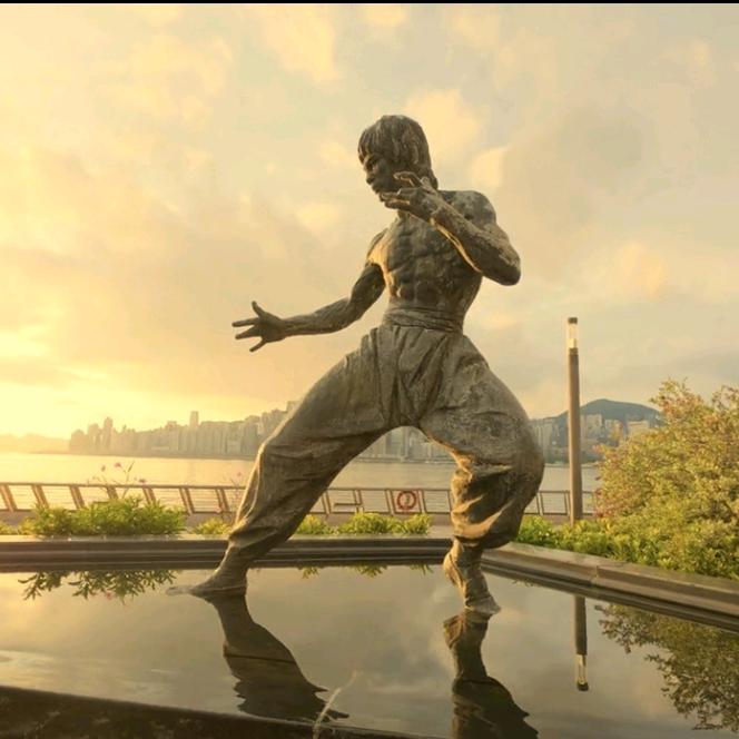 AAAA军工姚总，v+