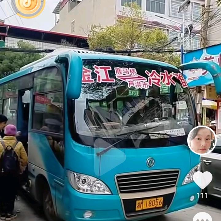 清清白白的刻耳柏洛斯头像