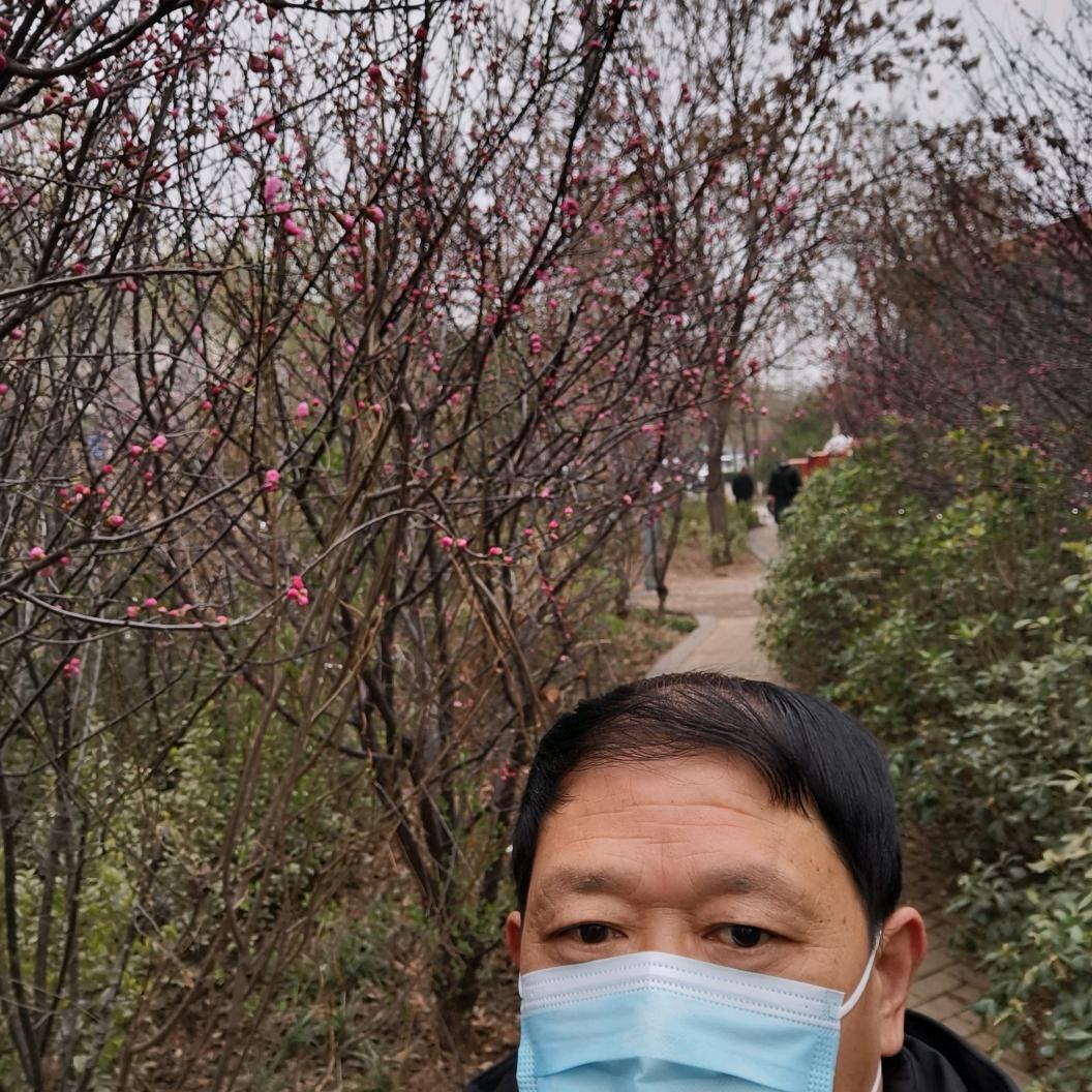 大江南北