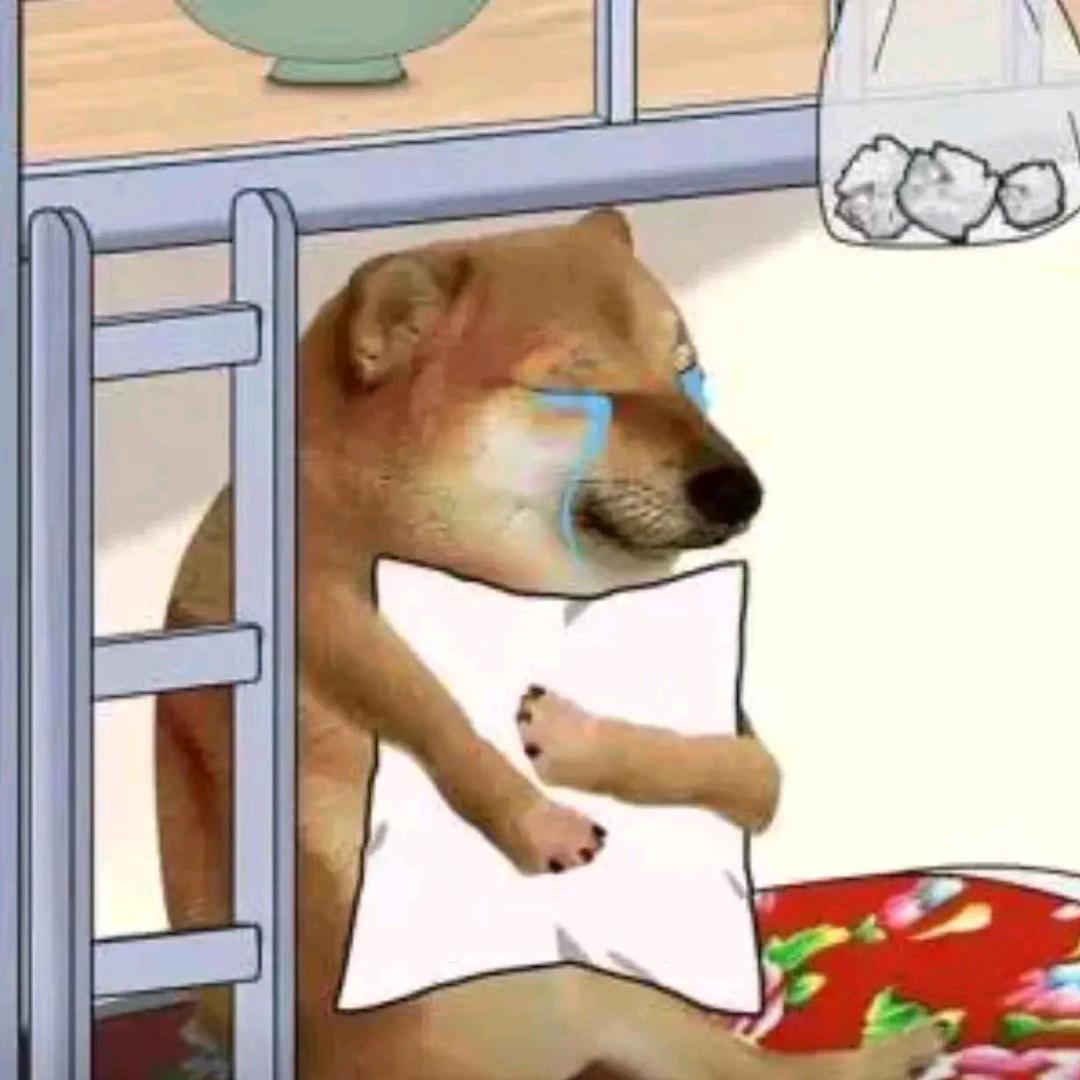 老康