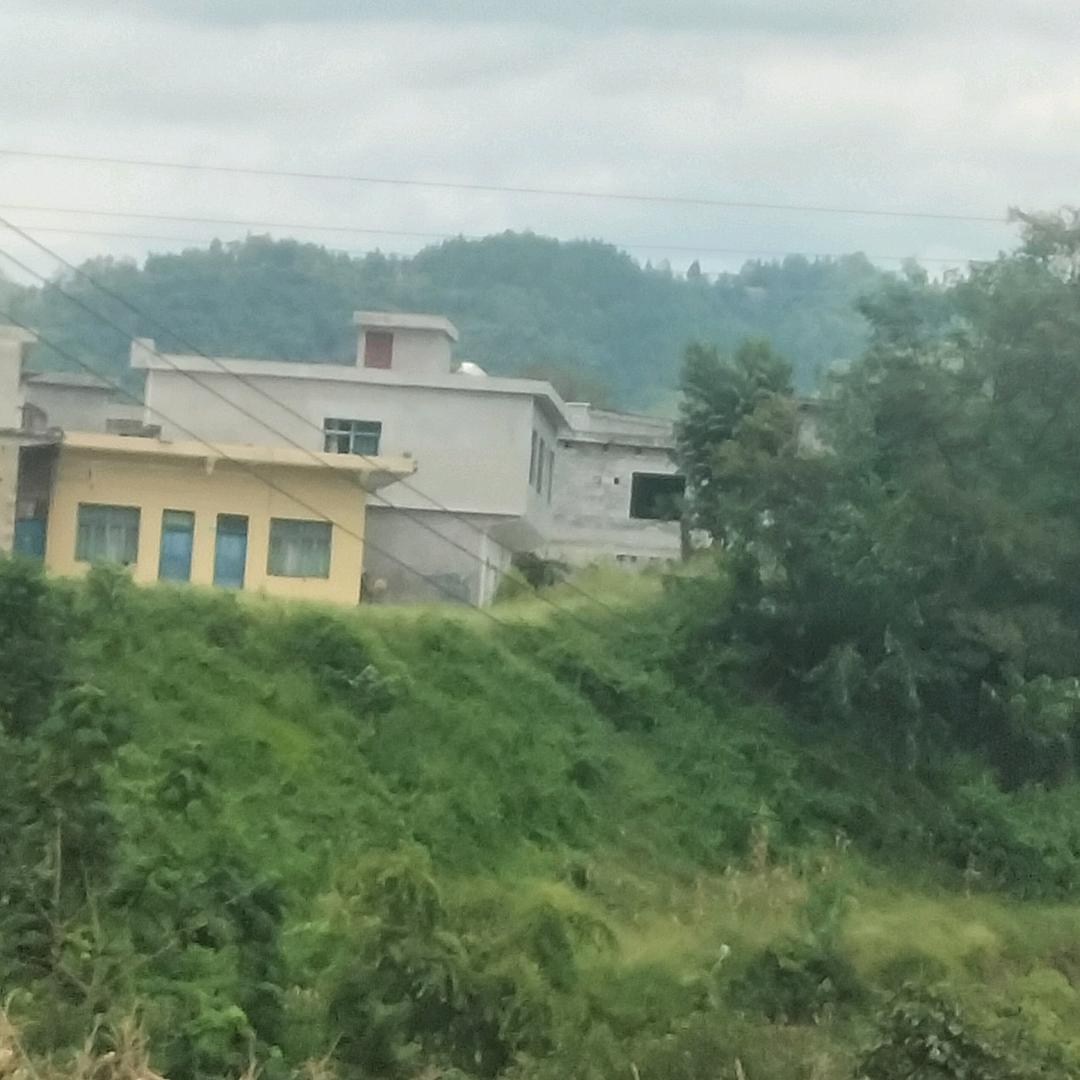 小劉