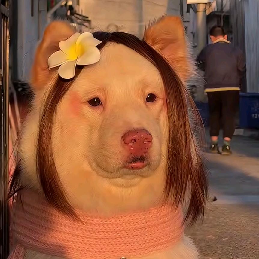 美少女张淑芬