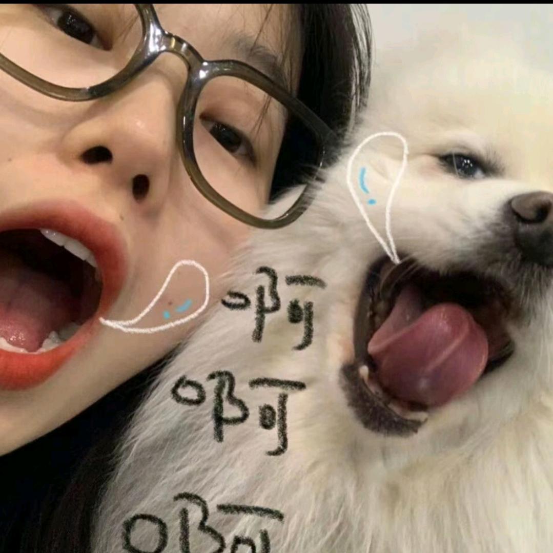 西红柿没事
