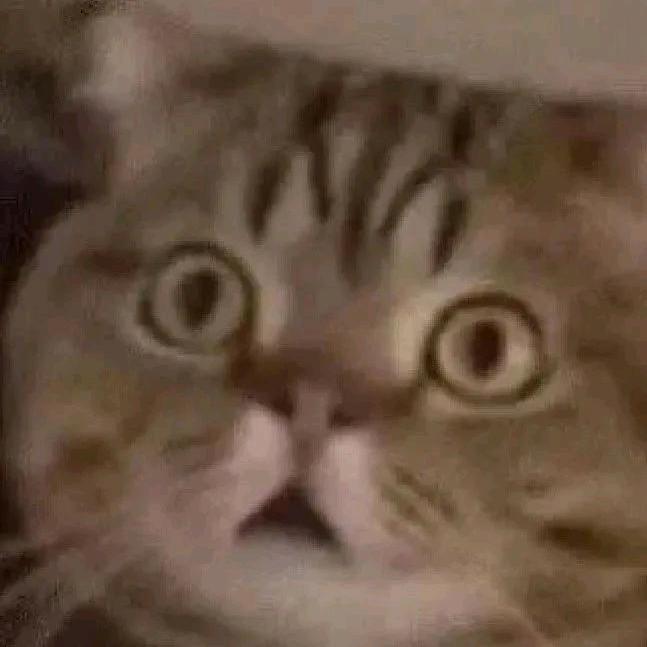 你说啥呢