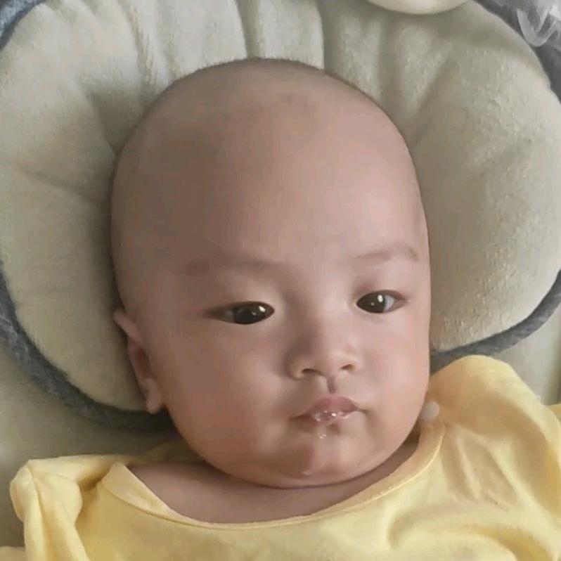 二头胖胖