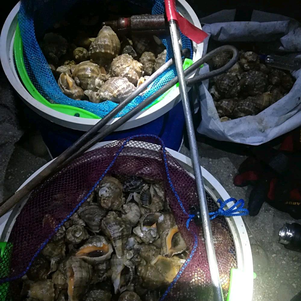 鱤塰魜$$醱醱