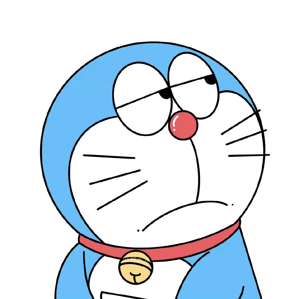 苏橘洛猫