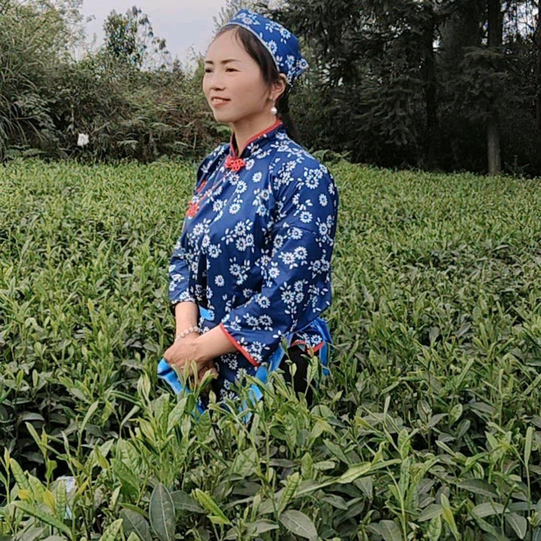 鸿运