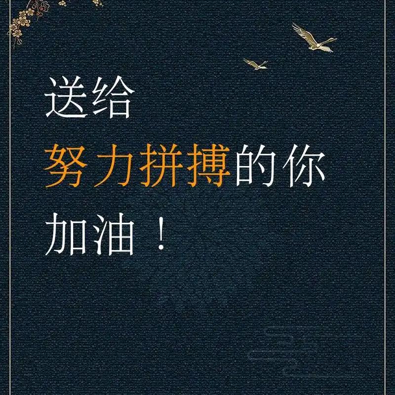 追着太阳🌞跑