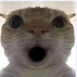 wuta