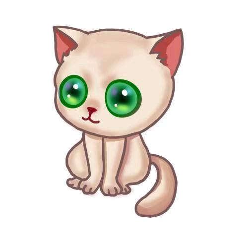 夜猫子