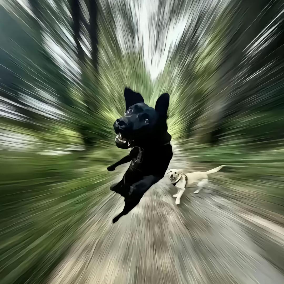 懿